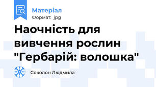 Наочність для вивчення рослин "Гербарій: волошка"