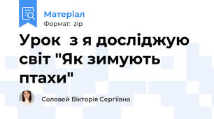 Урок  з я досліджую світ "Як зимують птахи"
