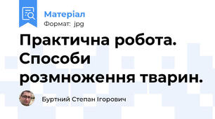 Практична робота. Способи розмноження тварин.