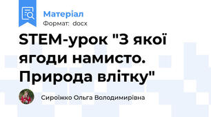 STEM-урок "З якої ягоди намисто. Природа влітку"