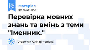 Перевірка мовних знань та вмінь з теми "Іменник."