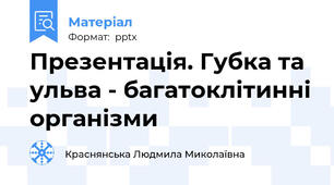 Презентація. Губка та ульва - багатоклітинні організми