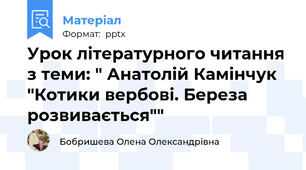 Урок літературного читання з теми: " Анатолій Камінчук "Котики вербові. Береза розвивається""