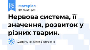 Нервова система, її значення, розвиток у різних тварин.