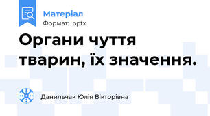 Органи чуття тварин, їх значення.