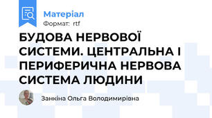 БУДОВА НЕРВОВОЇ СИСТЕМИ. ЦЕНТРАЛЬНА І ПЕРИФЕРИЧНА НЕРВОВА СИСТЕМА ЛЮДИНИ
