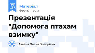 Презентація "Допомога птахам взимку"