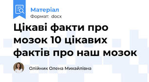 Цікаві факти про мозок 10 цікавих фактів про наш мозок