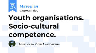 Youth organisations. Socio-cultural competence.