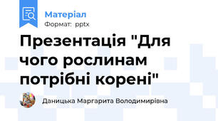 Презентація "Для чого рослинам потрібні корені"