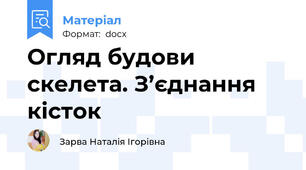Огляд будови скелета. З’єднання кісток