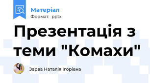 Презентація з теми "Комахи"