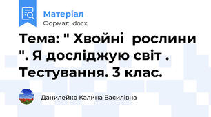 Тема: " Хвойні  рослини ". Я досліджую світ . Тестування. 3 клас.