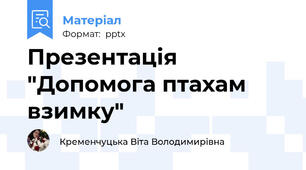 Презентація "Допомога птахам взимку"