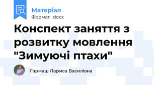 Конспект заняття з розвитку мовлення "Зимуючі птахи"