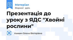 Презентація до уроку з ЯДС "Хвойні рослини"
