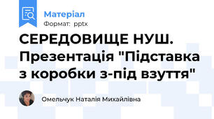 СЕРЕДОВИЩЕ НУШ. Презентація "Підставка з коробки з-під взуття"