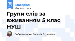 Групи слів за вживанням 5 клас НУШ