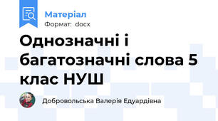 Однозначні і багатозначні слова 5 клас НУШ