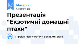 Презентація "Екзотичні домашні птахи"
