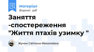 Заняття -спостереження "Життя птахів узимку "