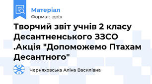 Творчий звіт учнів 2 класу Десантненського ЗЗСО .Акція "Допоможемо Птахам Десантного"