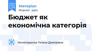 Бюджет як економічна категорія