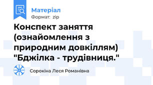 Конспект заняття (ознайомлення з природним довкіллям)  "Бджілка - трудівниця."