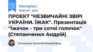 ПРОЕКТ "НЕЗВИЧАЙНІ ЗВІРІ УКРАЇНИ. ЇЖАК". Презентація "Їжачок - три сотні голочок" (Степанченко Андрій)