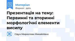 Презентація на тему: Первинні та вторинні морфологічні елементи висипу