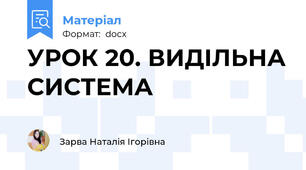 УРОК 20. ВИДІЛЬНА СИСТЕМА