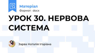 УРОК 30. НЕРВОВА СИСТЕМА