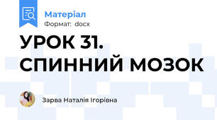 УРОК 31. СПИННИЙ МОЗОК