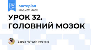 УРОК 32. ГОЛОВНИЙ МОЗОК