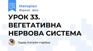 УРОК 33. ВЕГЕТАТИВНА НЕРВОВА СИСТЕМА