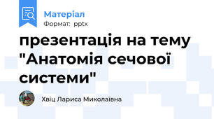 презентація на тему "Анатомія сечової системи"