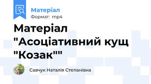 Матеріал "Асоціативний кущ "Козак""
