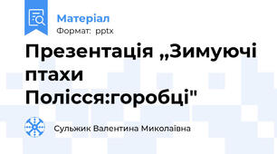 Презентація ,,Зимуючі птахи Полісся:горобці"