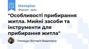 "Особливості прибирання житла. Мийні засоби та інструменти для прибирання житла"