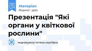 Презентація "Які органи у квіткової рослини"
