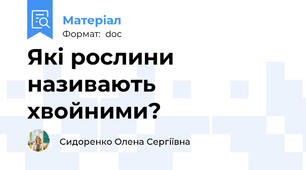 Які рослини називають хвойними?