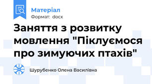 Заняття з розвитку мовлення "Піклуємося про зимуючих птахів"