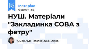 НУШ. Матеріали "Закладинка СОВА з фетру"
