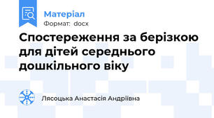 Спостереження за берізкою для дітей середнього дошкільного віку