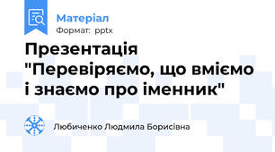Презентація "Перевіряємо, що вміємо і знаємо про іменник"