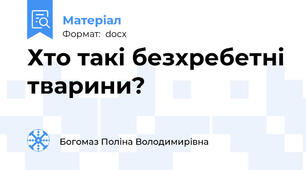 Хто такі безхребетні тварини?