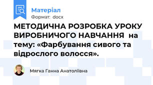 МЕТОДИЧНА РОЗРОБКА УРОКУ ВИРОБНИЧОГО НАВЧАННЯ  на тему: «Фарбування сивого та відрослого волосся».