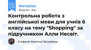 Контрольна робота з англійської мови для учнів 6 класу на тему "Shopping" за підручником Алли Несвіт.