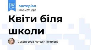 Квіти біля школи