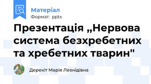 Презентація ,,Нервова система безхребетних та хребетних тварин''